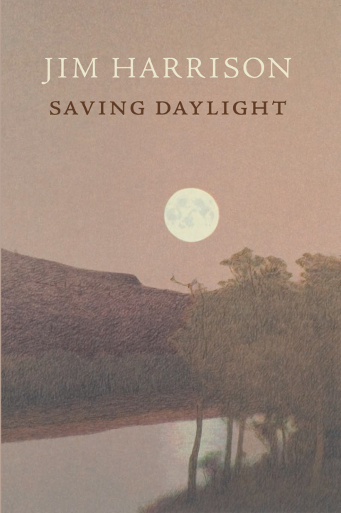 Cover image for book Saving Daylight