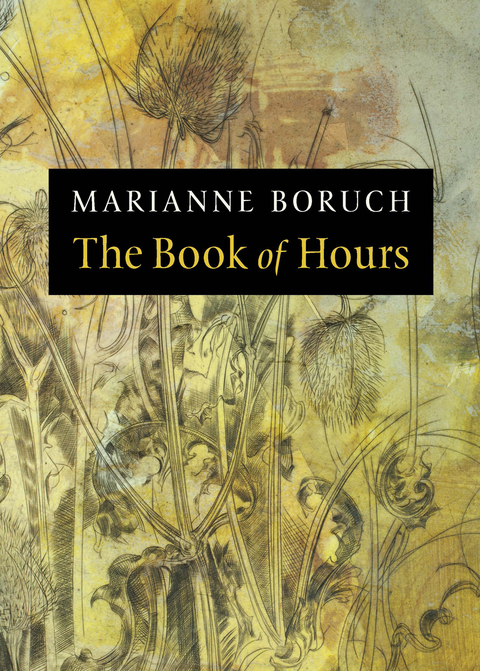 Cover image for book The Book of Hours