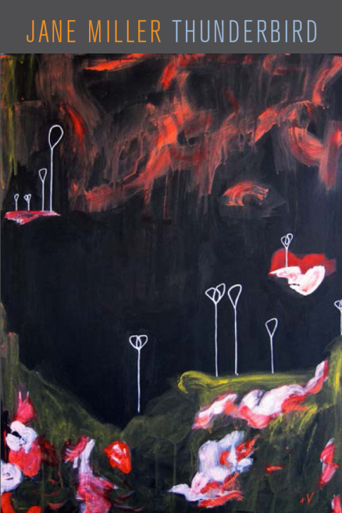 Cover image for book Thunderbird