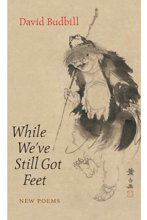 Cover image for book While We've Still Got Feet