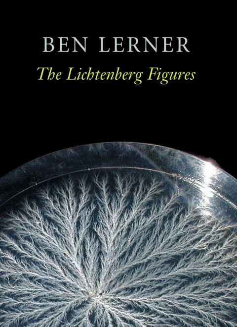 The Lichtenberg Figures 