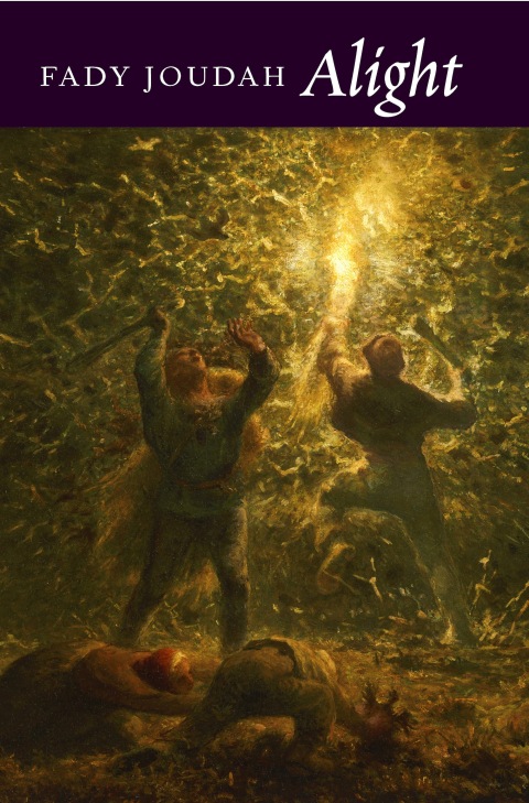 Cover image for book Alight