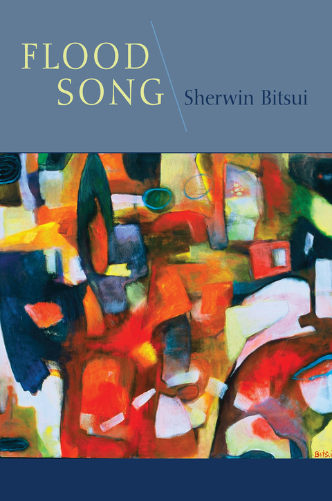Cover image for book Flood Song