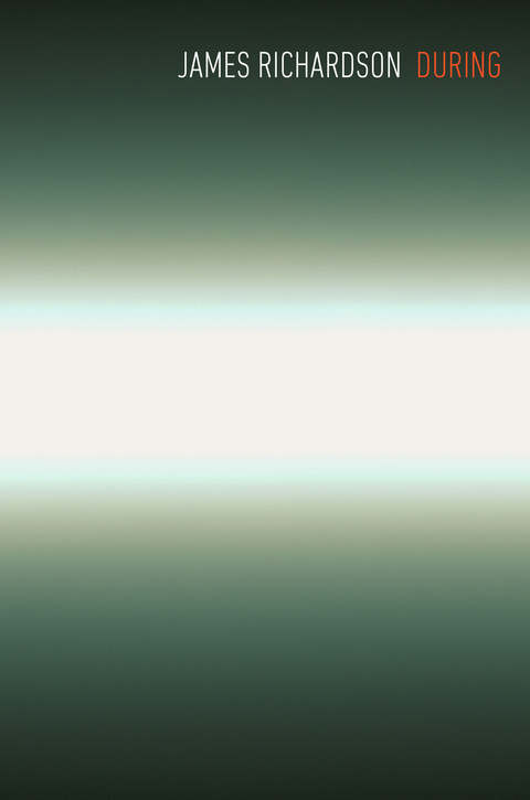 Cover image for book During