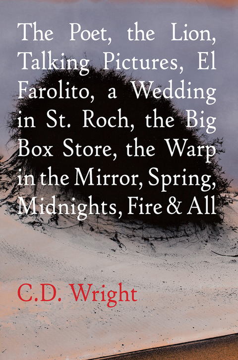 The Poet, The Lion, Talking Pictures, El Farolito, A Wedding in St. Roch, The Big Box Store, The Warp in the Mirror, Spring, Midnights, Fire \u0026 All 