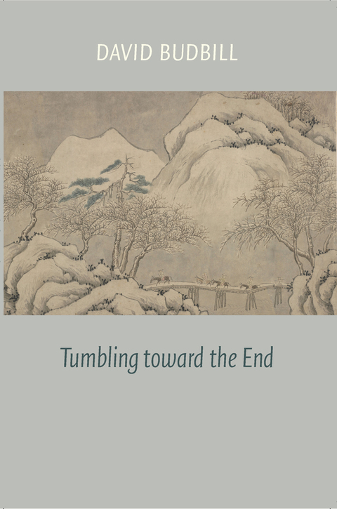 Cover image for book Tumbling Toward the End