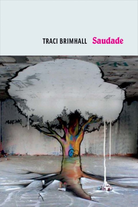 Cover image for book Saudade