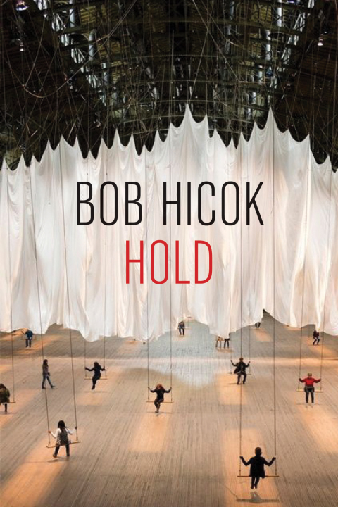 Cover image for book Hold