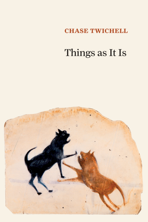Cover image for book Things as It Is