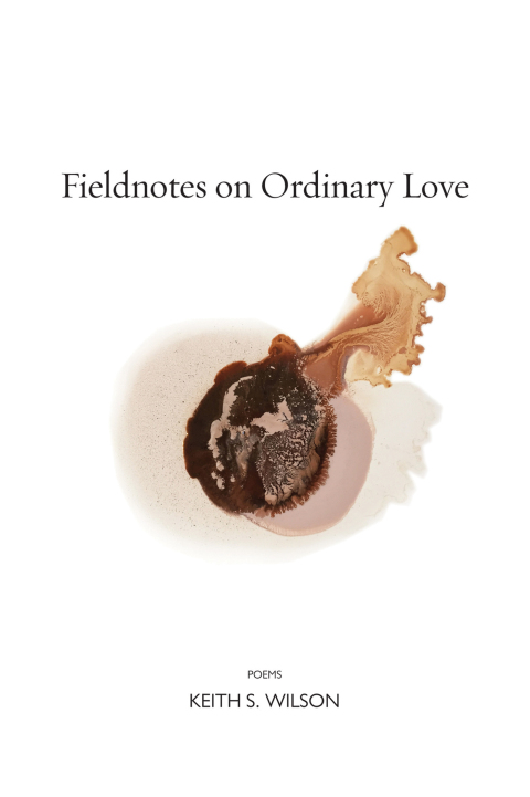 Cover image for book Fieldnotes on Ordinary Love