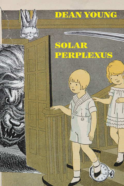 Cover image for book Solar Perplexus