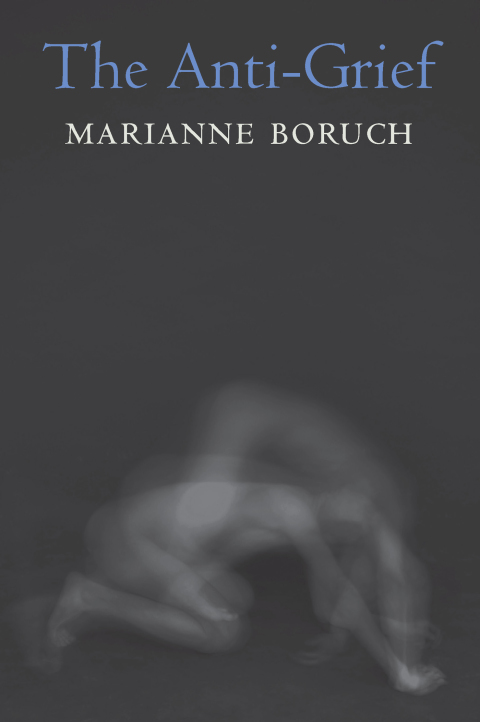 Cover image for book The Anti-Grief