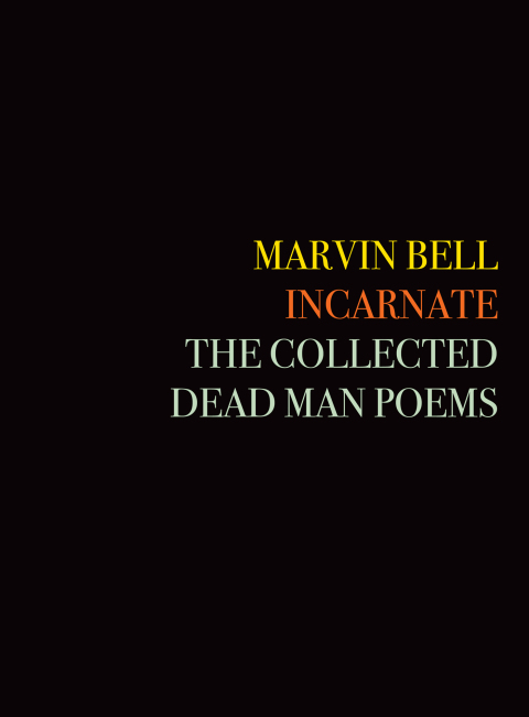 Cover image for book Incarnate