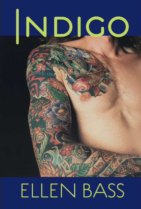 Cover image for book Indigo