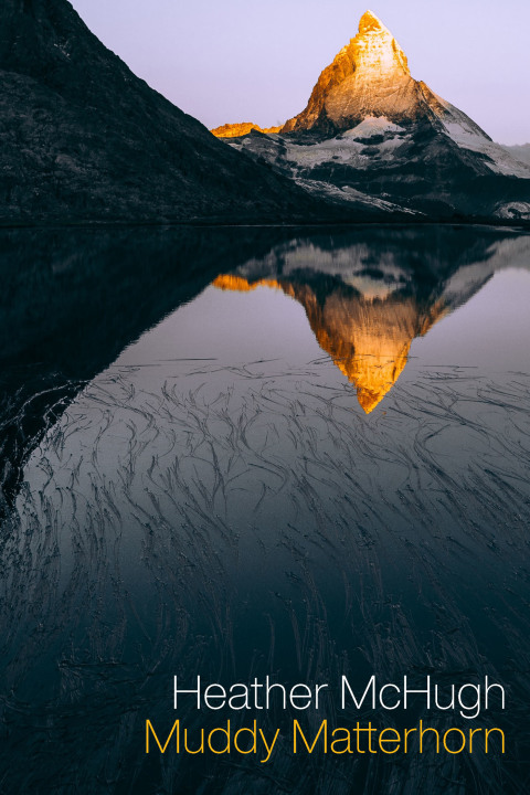 Cover image for book Muddy Matterhorn