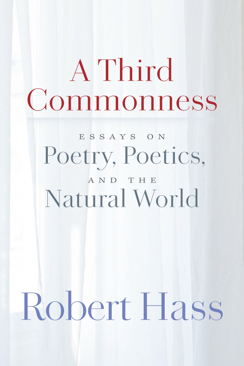 Cover image for book A Third Commonness