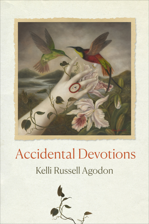 Cover image for book Accidental Devotions