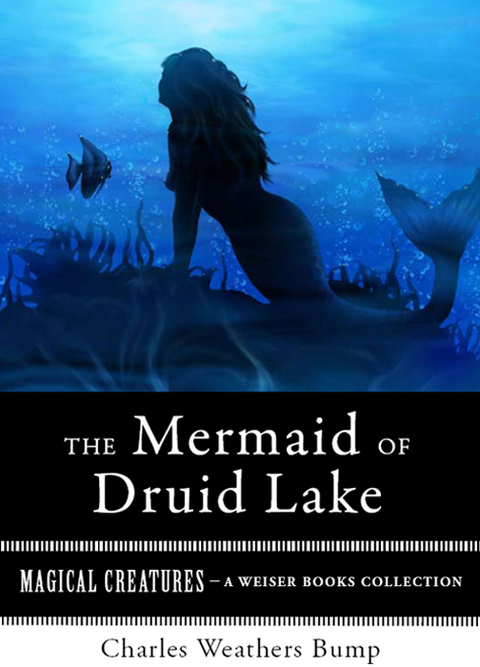 Cover image for book The Mermaid of Druid Lake