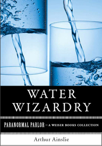 Cover image: Water Wizardry 9781619400092