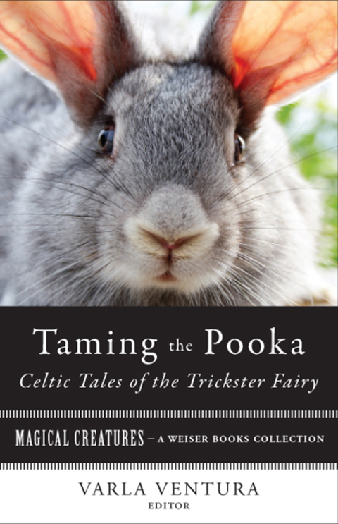 Cover image for book Taming the Pooka, Celtic Tales of the Trickster Fairy