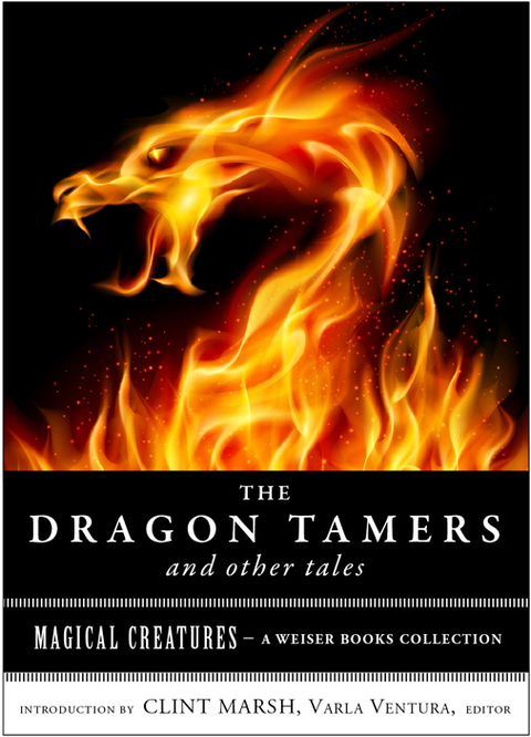 Cover image for book The Dragon Tamers and Other Tales