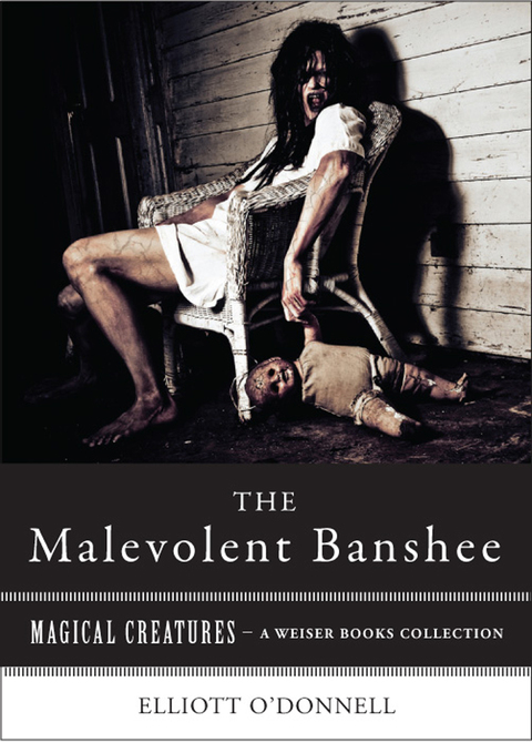 Cover image for book Malevolent Banshe