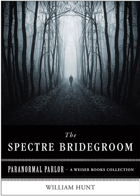 Cover image for book The Spectre Bridegroom
