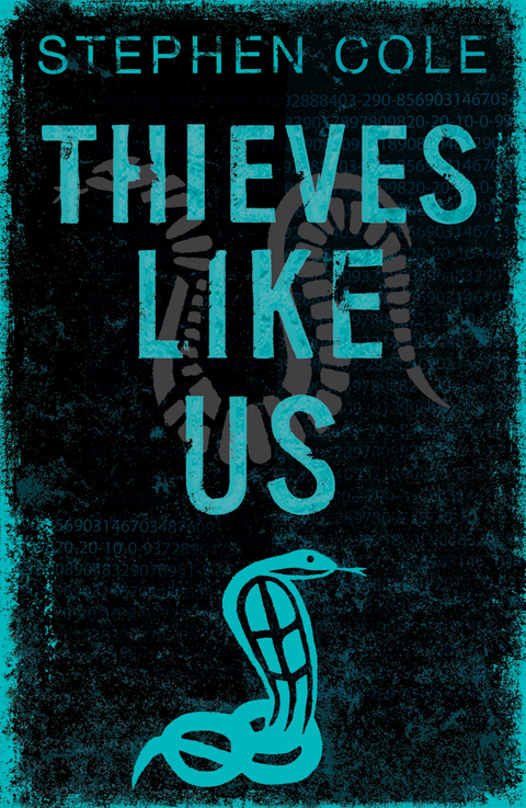 Cover image for book Thieves Like Us