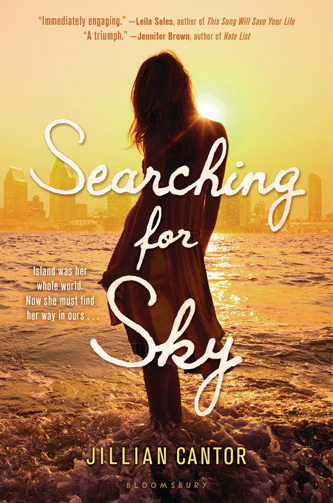 Cover image for book Searching for Sky