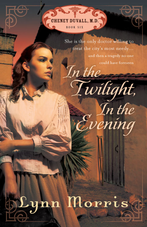 Cover image for book In the Twilight, in the Evening