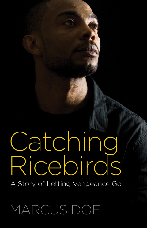 Cover image for book Catching Ricebirds