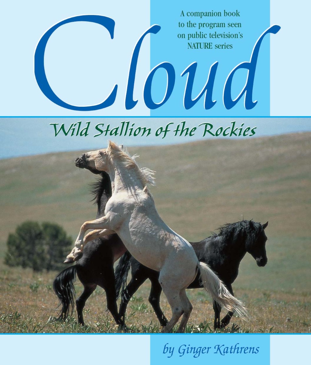 Cloud (eBook)