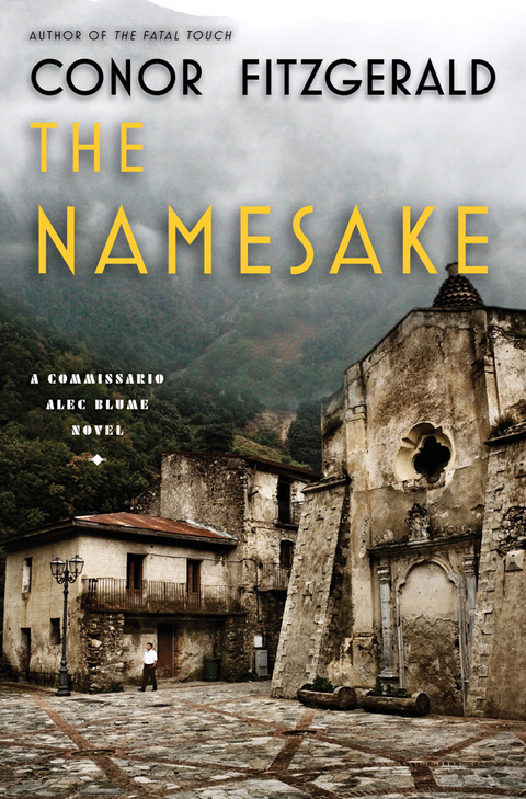 Cover image for book The Namesake