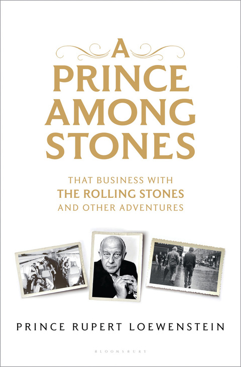Cover image for book A Prince Among Stones