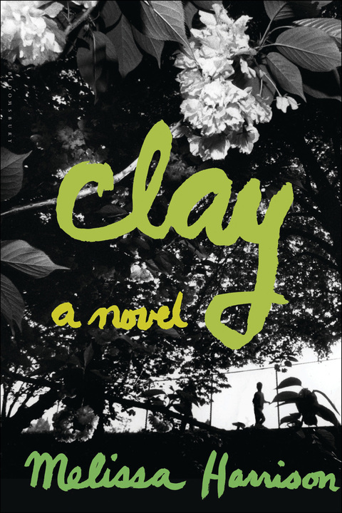 Cover image for book Clay