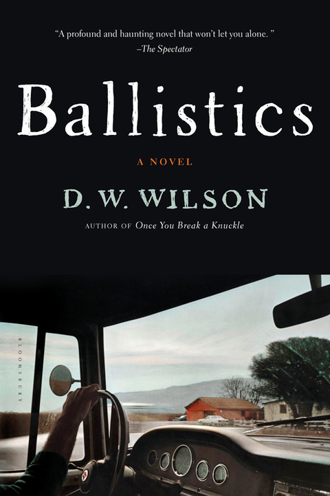 Cover image for book Ballistics