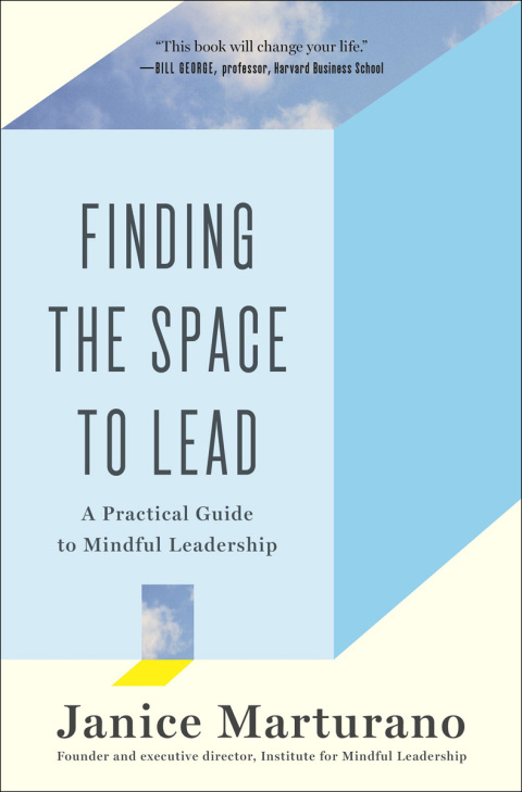 Cover image for book Finding the Space to Lead