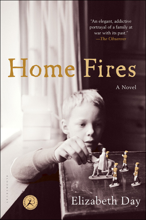 Cover image for book Home Fires