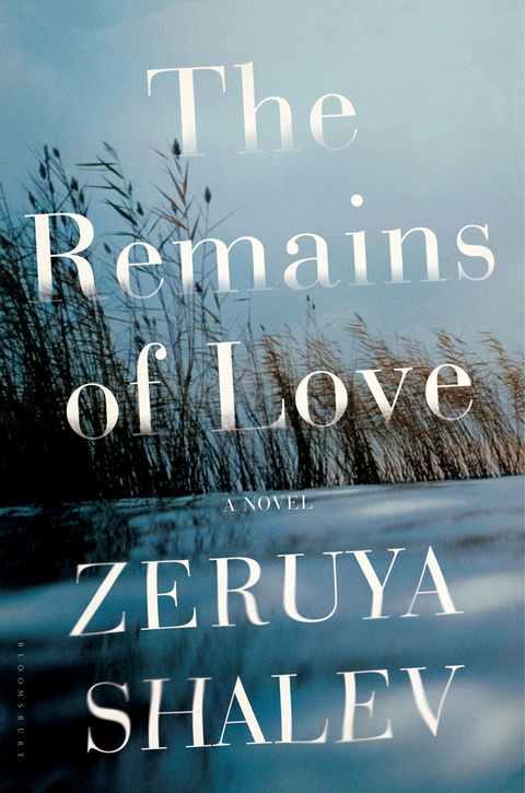 Cover image for book The Remains of Love
