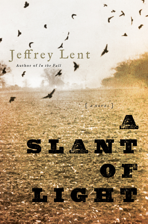 Cover image for book A Slant of Light