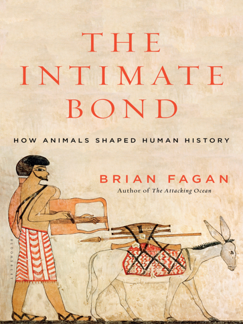 Cover image for book The Intimate Bond