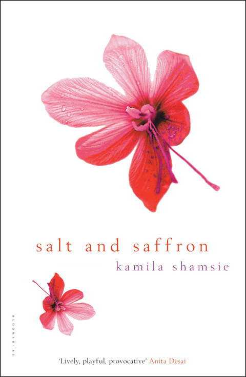 Cover image for book Salt and Saffron