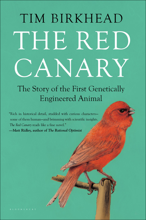 Cover image for book The Red Canary