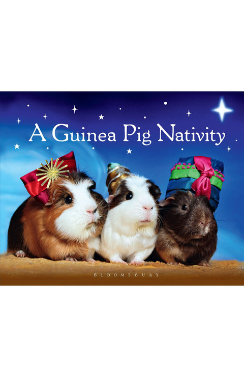 Cover image for book A Guinea Pig Nativity