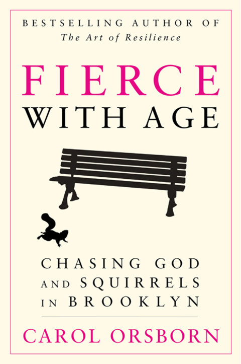 Cover image for book Fierce with Age