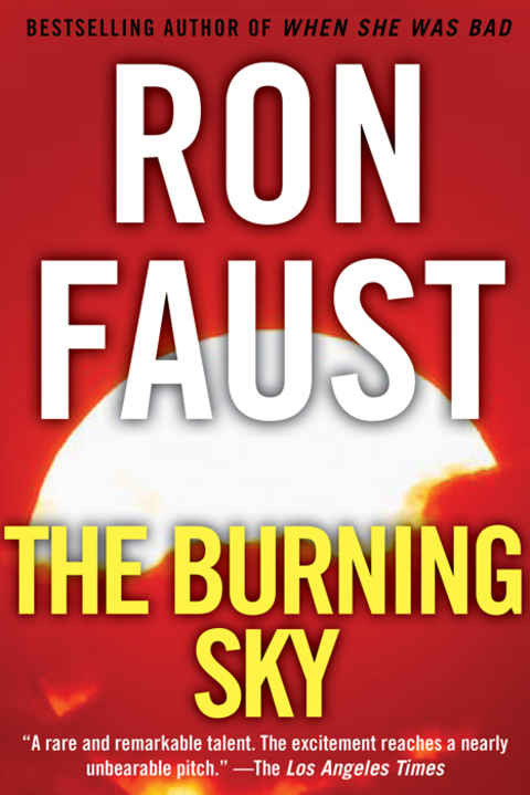 Cover image for book The Burning Sky