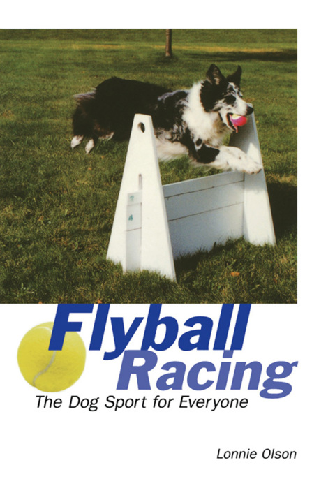 Cover image for book Flyball Racing