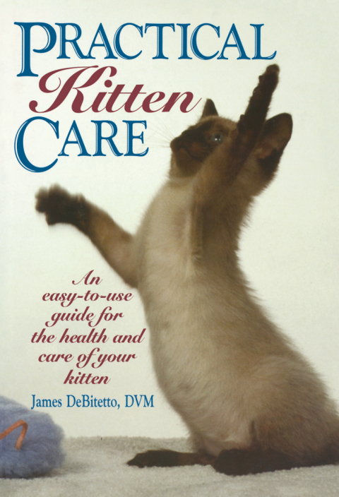 Cover image for book Practical Kitten Care