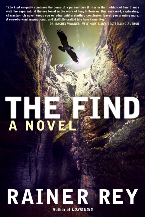Cover image for book The Find