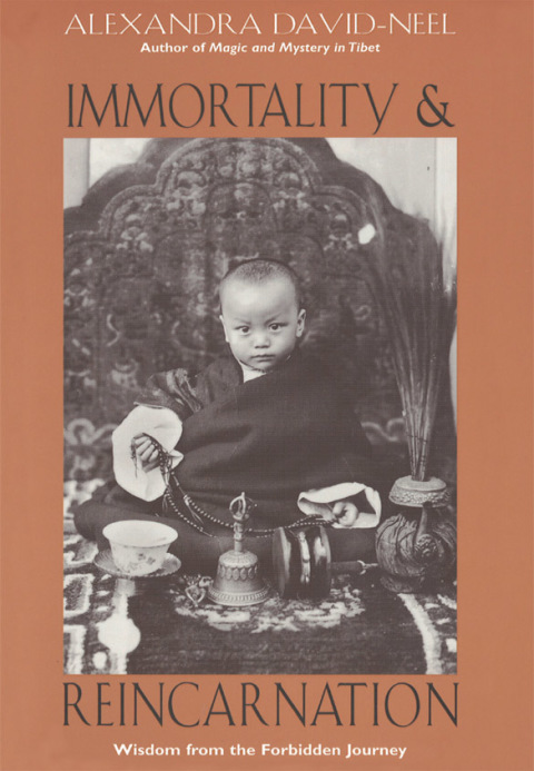 Cover image for book Immortality and Reincarnation